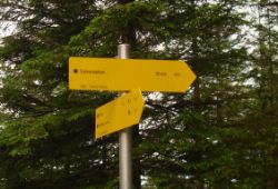 2013-06-23_Sonnenspitz_Jochberg (136)b.JPG